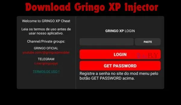 Gringo Xp injector img